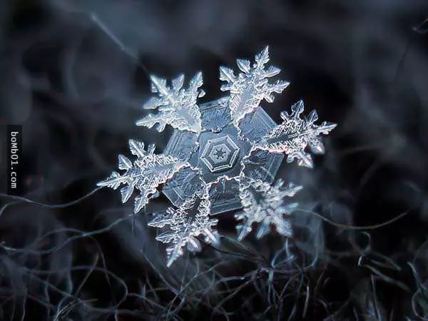 你有試過從這麼近的距離觀賞雪花嗎?原來近看是這樣的!