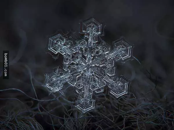 你有試過從這麼近的距離觀賞雪花嗎?原來近看是這樣的!