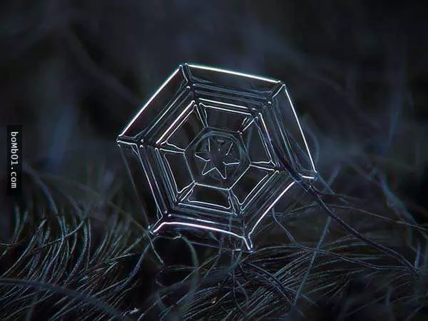 你有試過從這麼近的距離觀賞雪花嗎?原來近看是這樣的!