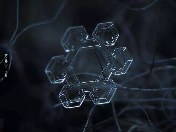你有試過從這麼近的距離觀賞雪花嗎?原來近看是這樣的!