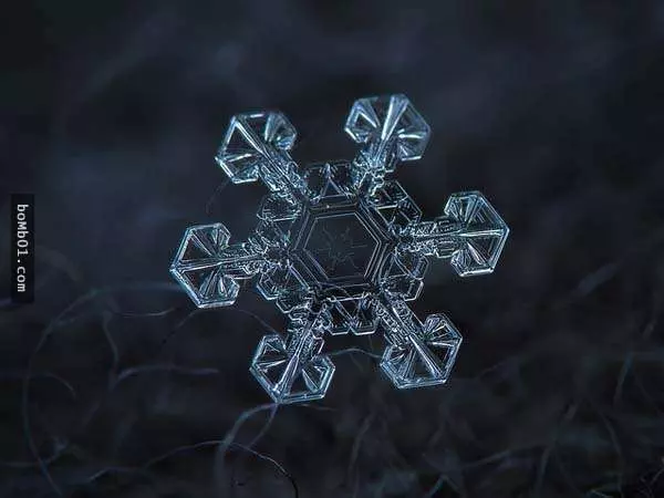 你有試過從這麼近的距離觀賞雪花嗎?原來近看是這樣的!