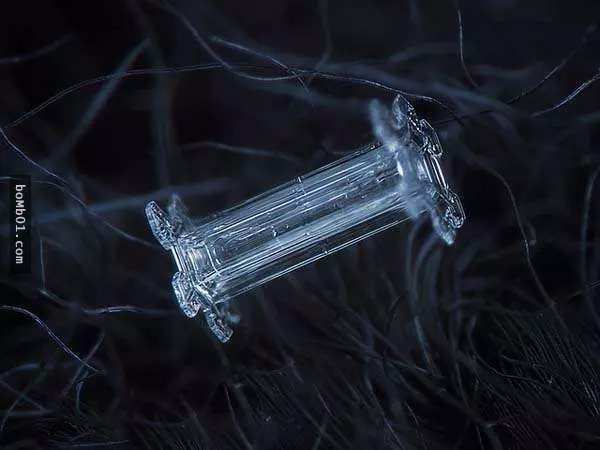 你有試過從這麼近的距離觀賞雪花嗎?原來近看是這樣的!