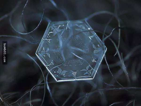 你有試過從這麼近的距離觀賞雪花嗎?原來近看是這樣的!