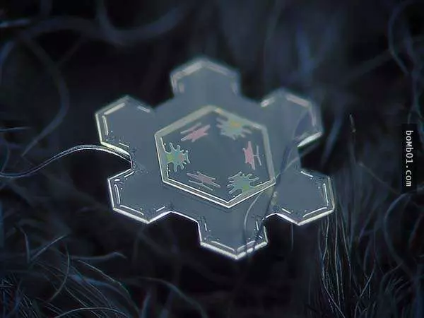 你有試過從這麼近的距離觀賞雪花嗎?原來近看是這樣的!