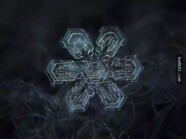 你有試過從這麼近的距離觀賞雪花嗎?原來近看是這樣的!