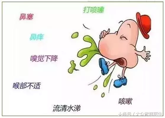 鼻炎老是鼻塞、打噴嚏怎麼辦?常喝這種湯,告別鼻炎一身輕鬆