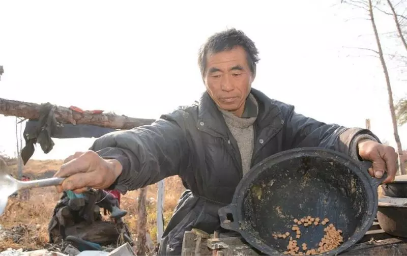 六旬流浪老人與46隻流浪狗,同住一車同用一鍋,拒絕捐款靠自己