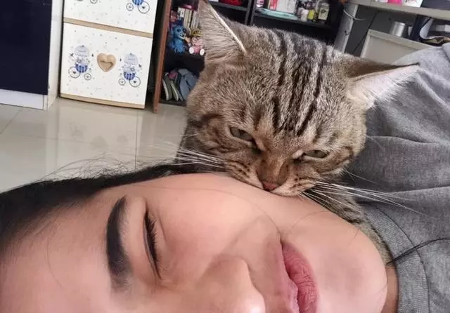 貓看到主人在睡覺後,偷偷伸出了它的貓爪,沒想到結局感人