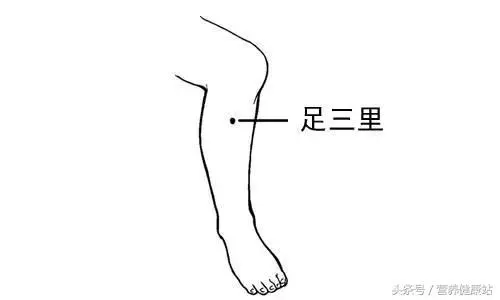 脖子後有個「死穴」不要碰,另外9個難得的黃金穴,能養生防病