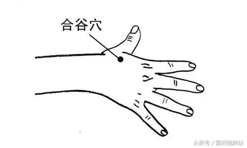 脖子後有個「死穴」不要碰,另外9個難得的黃金穴,能養生防病