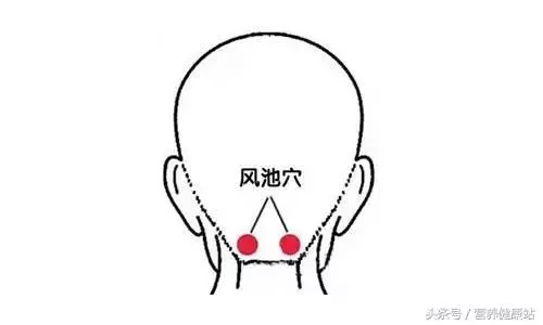 脖子後有個「死穴」不要碰,另外9個難得的黃金穴,能養生防病