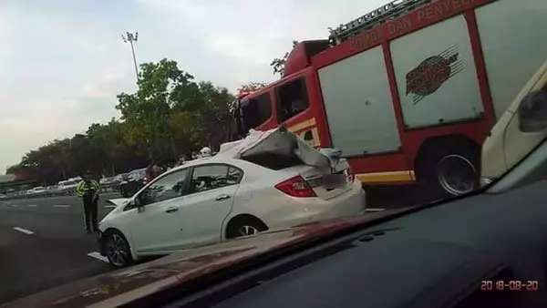 轎車撞路中央牛隻日男上班途中送命
