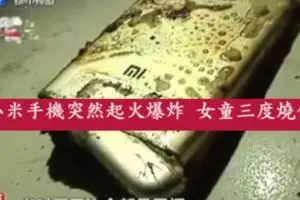 轎車撞路中央牛隻日男上班途中送命