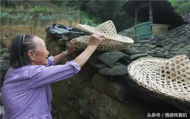 兒媳婦打工回家陪婆婆,回城後,婆婆打開衣櫃,頓時愣在了原地