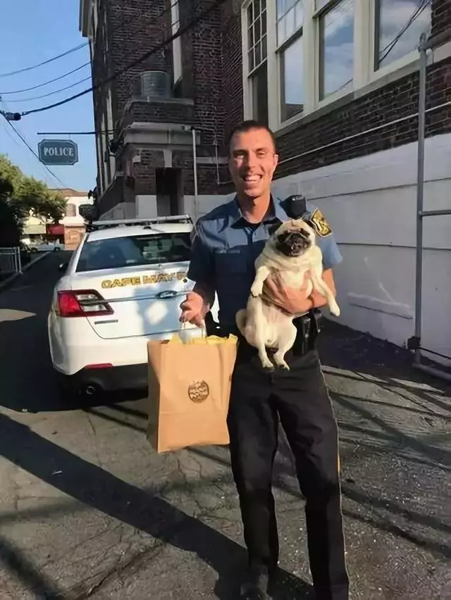 狗狗私闖庭院被逮捕在監獄服刑,主人用一袋餅乾保它出來