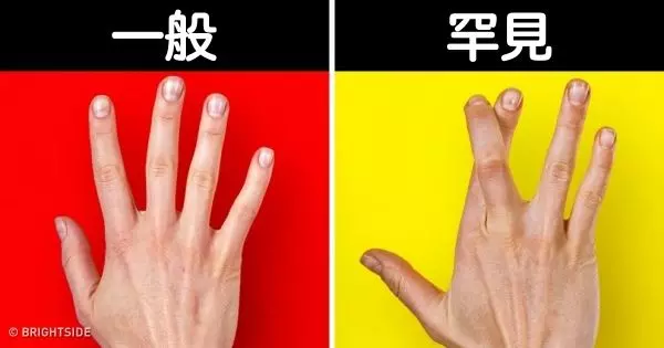 17個證明「你懂得只有人體5%」的超有趣身體事實,「不吃飯」跟「不睡覺」到底哪種比較容易死?