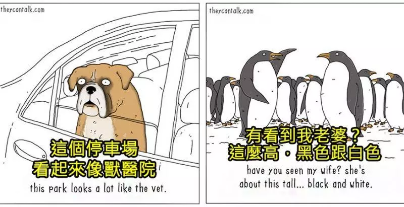 原來牠們都在想這些蠢萌到炸的事情啊!幫你翻譯8種「動物在講啥」的對話!#4 原來貓咪愛把東西推下桌是這樣啊!