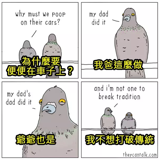 原來牠們都在想這些蠢萌到炸的事情啊!幫你翻譯8種「動物在講啥」的對話!#4 原來貓咪愛把東西推下桌是這樣啊!