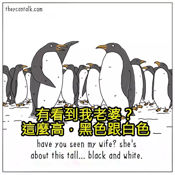 原來牠們都在想這些蠢萌到炸的事情啊!幫你翻譯8種「動物在講啥」的對話!#4 原來貓咪愛把東西推下桌是這樣啊!