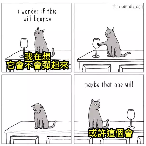 原來牠們都在想這些蠢萌到炸的事情啊!幫你翻譯8種「動物在講啥」的對話!#4 原來貓咪愛把東西推下桌是這樣啊!