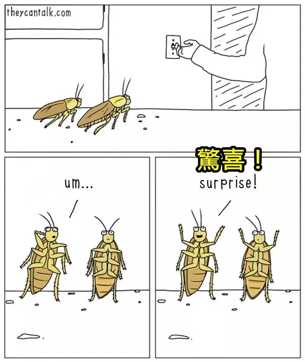 原來牠們都在想這些蠢萌到炸的事情啊!幫你翻譯8種「動物在講啥」的對話!#4 原來貓咪愛把東西推下桌是這樣啊!