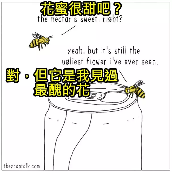 原來牠們都在想這些蠢萌到炸的事情啊!幫你翻譯8種「動物在講啥」的對話!#4 原來貓咪愛把東西推下桌是這樣啊!