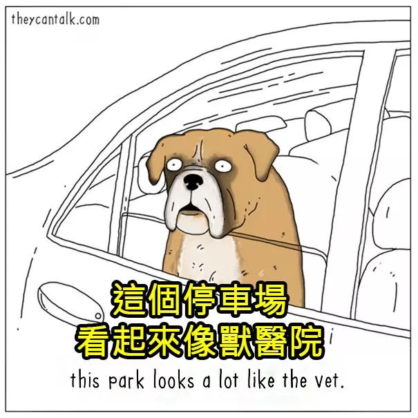 原來牠們都在想這些蠢萌到炸的事情啊!幫你翻譯8種「動物在講啥」的對話!#4 原來貓咪愛把東西推下桌是這樣啊!