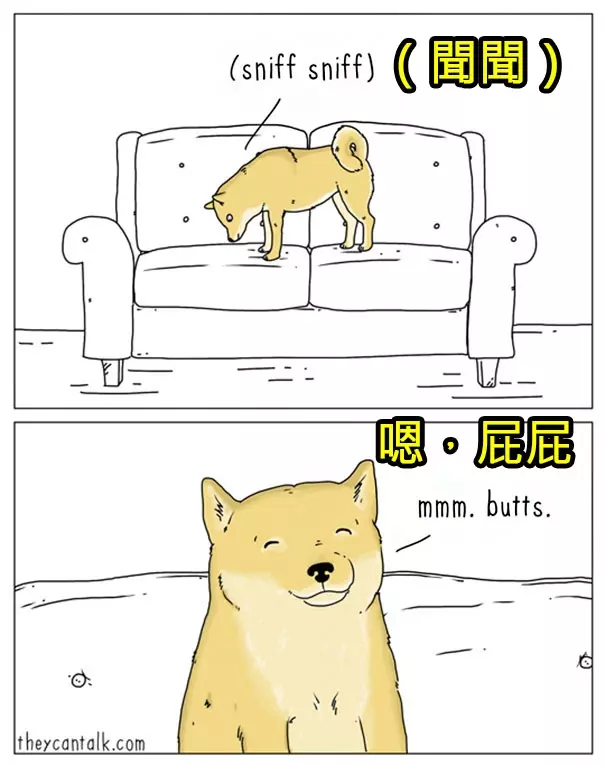 原來牠們都在想這些蠢萌到炸的事情啊!幫你翻譯8種「動物在講啥」的對話!#4 原來貓咪愛把東西推下桌是這樣啊!