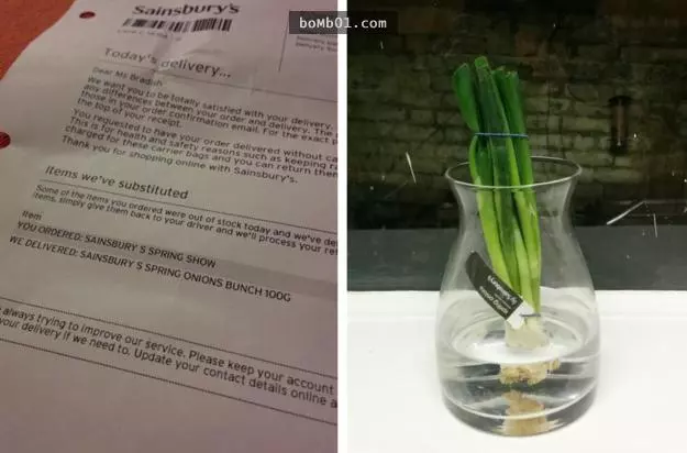 27張不管看幾次「都會害人笑得像瘋子一樣」的超有爆點畫面
