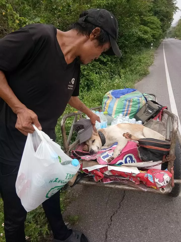 深情男替已故女友圓夢 帶骨灰徒步1541公里