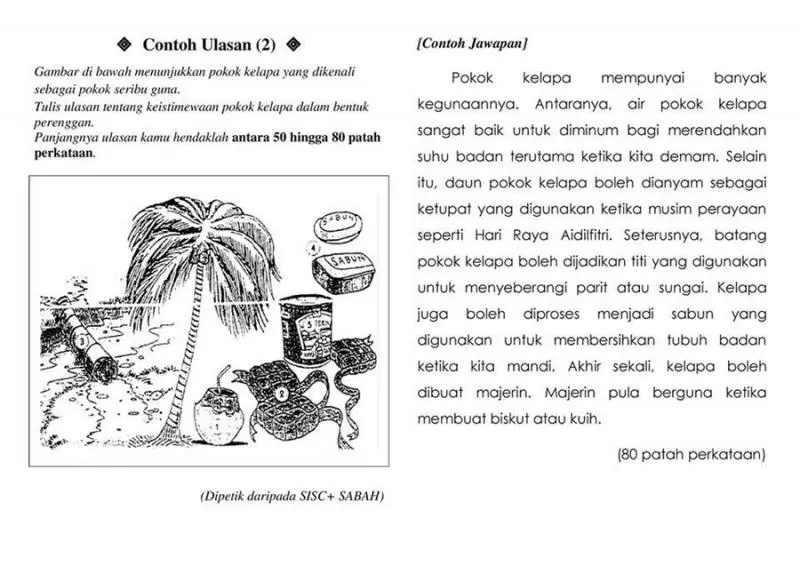 ULANGKAJI KARANGAN ULASAN – BAHAGIAN B