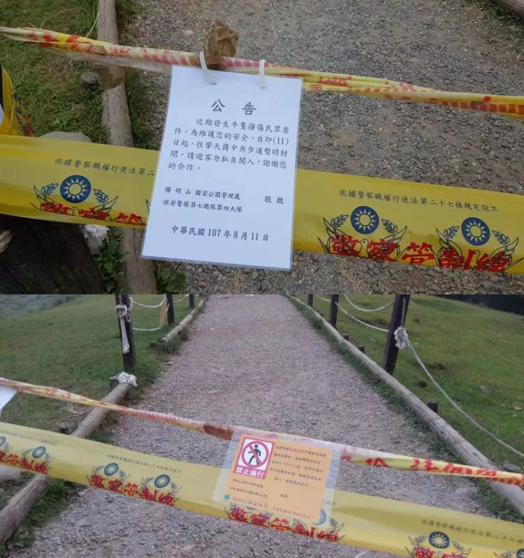 本末倒置?擎天崗水牛傷人...陽管處問卷調查「牛隻去留」被網友罵爆:該滾的是人類