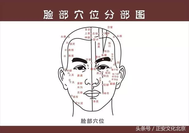 每天敲打頭部經絡,很快就有驚人發現