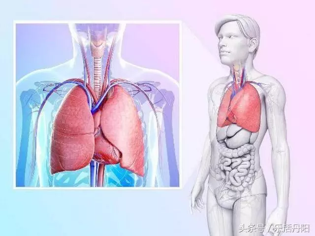 早上起床後,按照順序做這3件事,養肝又排毒,肝臟越來越健康