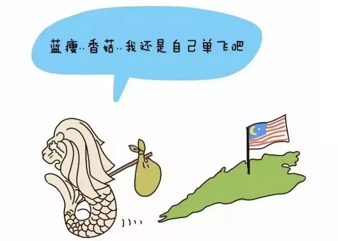 「新加坡,沒有未來!」 誰再說這句話,就甩這貼給他!