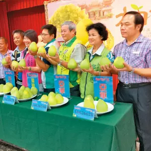 桃市將增7停車場 周邊住戶享月租8折優惠!