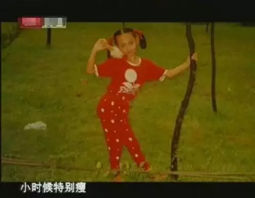《延禧攻略》9大主演童年照曝光,變化最大竟是「袁春望」!