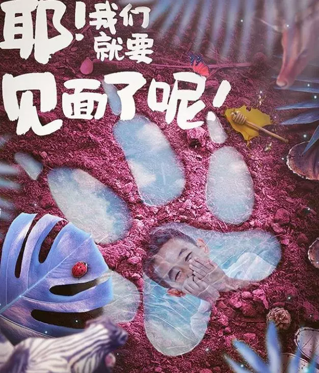 要Jasper「息影」又回歸《爸爸6》! 陳小春首度出面回應