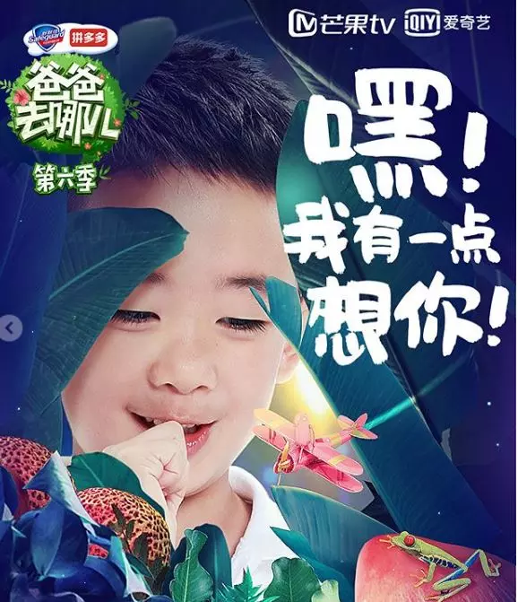 要Jasper「息影」又回歸《爸爸6》! 陳小春首度出面回應