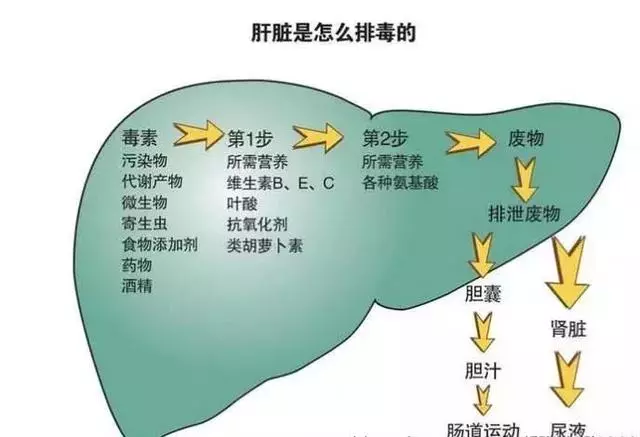 睡前按一按這個穴,養肝