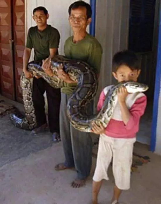父親給兒子一個蟒蛇當玩具,一起睡了6年,最後不幸還是發生了