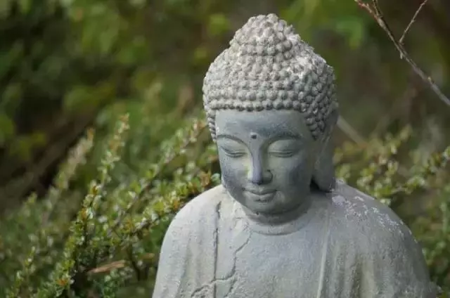 佛說:我已滿你千百願,你滿我一願可好?