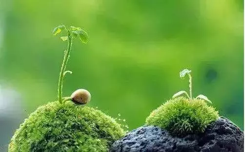 佛說:我已滿你千百願,你滿我一願可好?