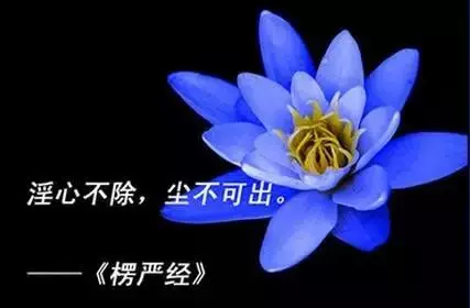 每個人頭頂都有光,邪淫的人頭頂是什麼光?