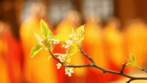 迴向沒做好,業障消不掉,福報也會減半!99%的人都不明白!