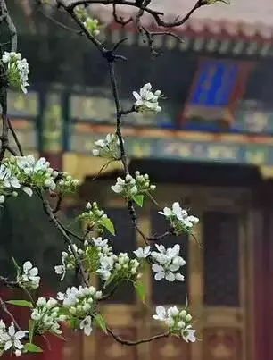 若您能看見此篇文章,證明您前生已具無量慧根!