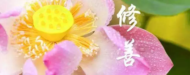 一個超級簡單的極速改變命運的方法,送給有緣的妳