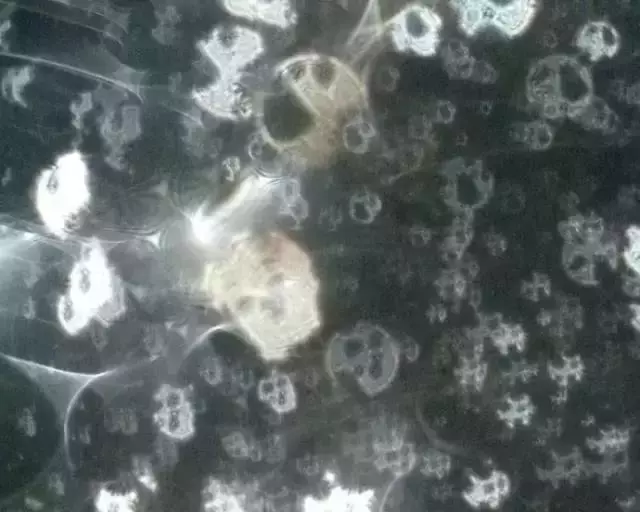 做煙供施食時拍到的超清晰震撼照片,太不可思議了!