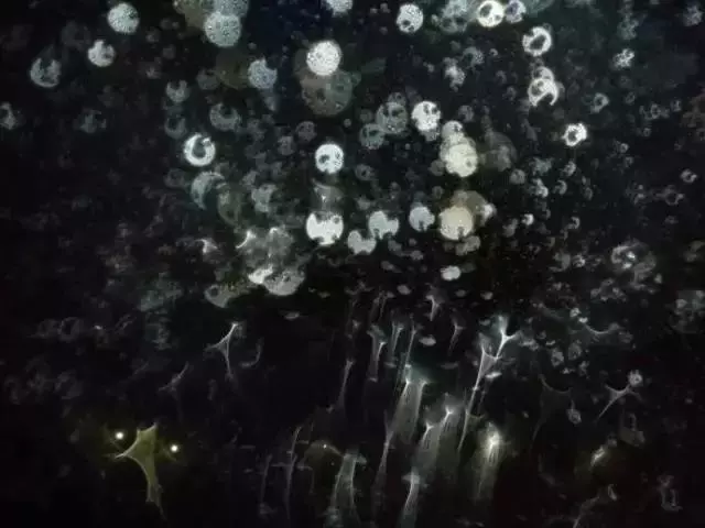 做煙供施食時拍到的超清晰震撼照片,太不可思議了!