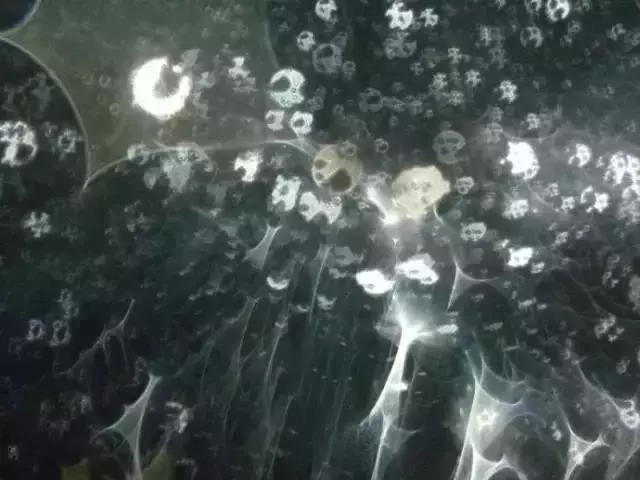 做煙供施食時拍到的超清晰震撼照片,太不可思議了!